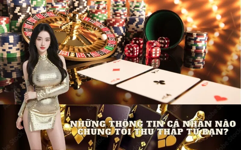 Những Thông Tin Cá Nhân Nào Chúng Tôi Thu Thập Từ Bạn?