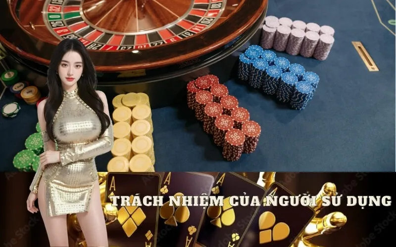 Trách Nhiệm Của Người Sử Dụng